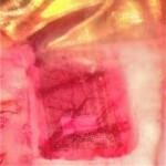 Transistor array placed on the cortex of a rat