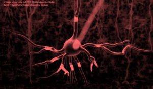 IRneuronStim