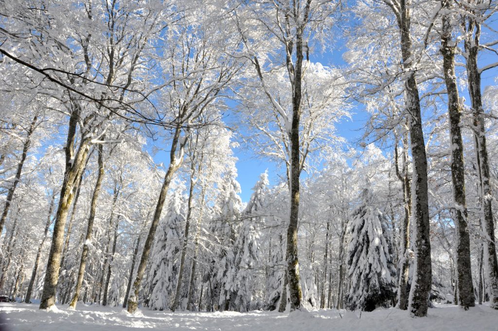 Winter in "Parc du Pilat" near Saint-Étienne. ©Saint-Étienne Tourisme