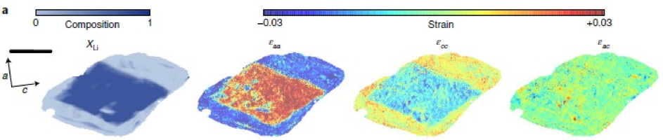 Local Li concentration and lattice strain components in a Li0.5FePO4 particle