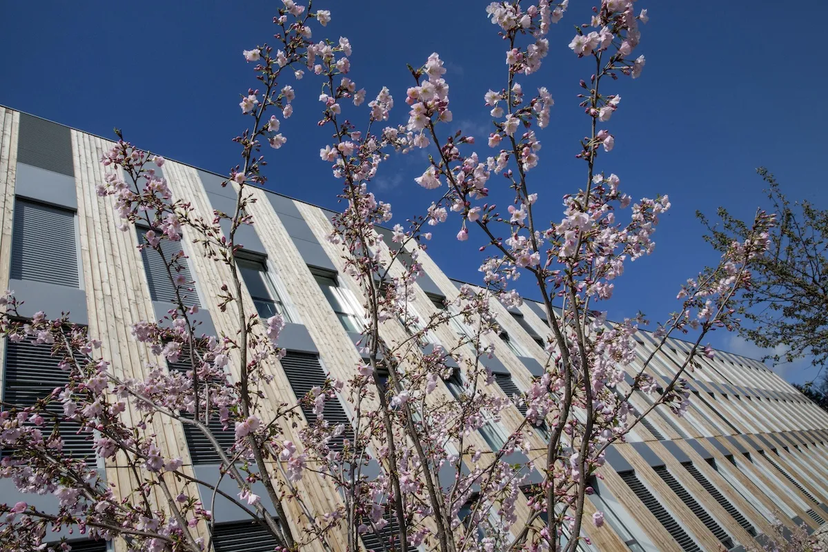  Shaping Health Innovation for the Future of Technology Saint-Étienne, France<br />May 18 – 29, 2026