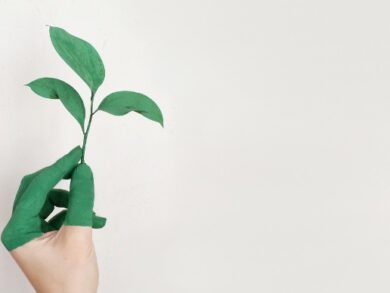 ingenierie-verte-developpement-durable