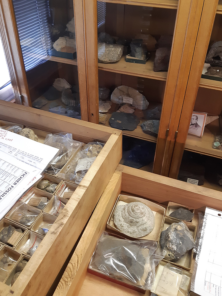 Showcase with Fossils and Minerals from the École des Mines