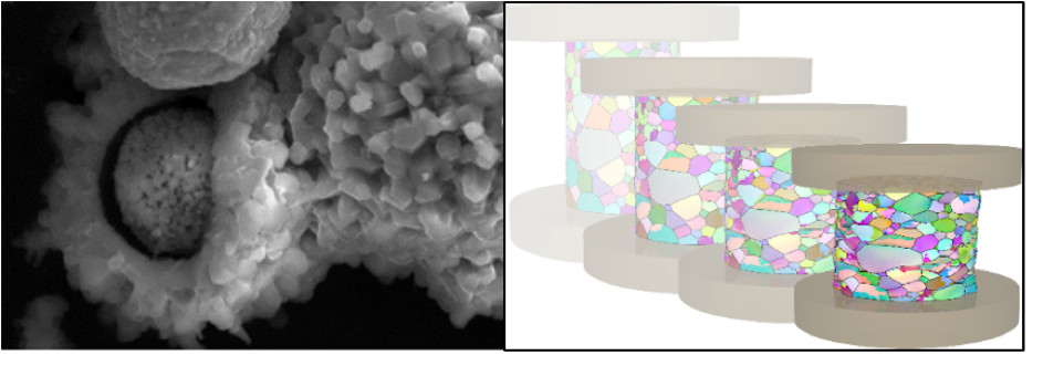 Microstructure de matériaux - Image microscope à balayage électronique et ùodélisation de granulats de poudre