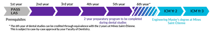 The step-by-step path, from the first year (PASS/LAS) to the ICM programme