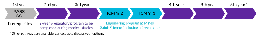 The step-by-step pathway from the first year (PASS/LAS) to the ICM program
