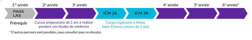 Le parcours, étape par étape, de la première année (PASS/LAS) à la formation ICM